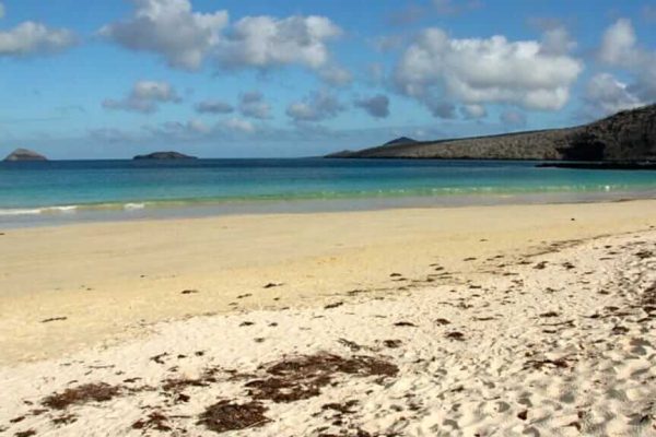 floreana-island-landscape