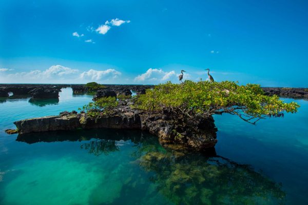 islas