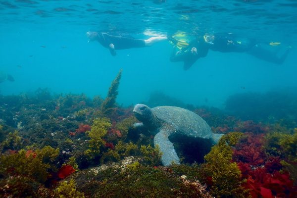 que-hacer-en-isla-isabela-galapagos-tuneles